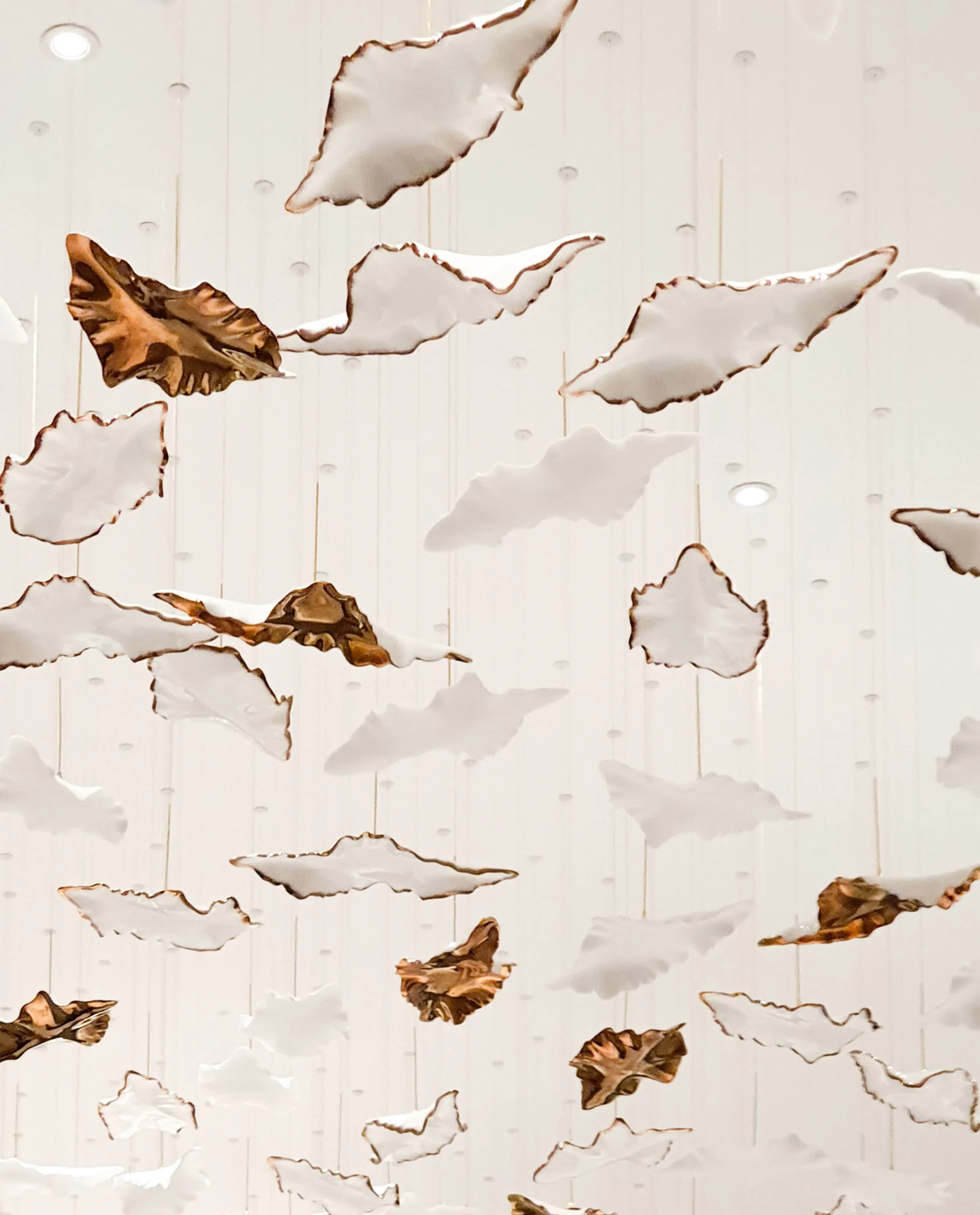 Folli gold and white leaf installation