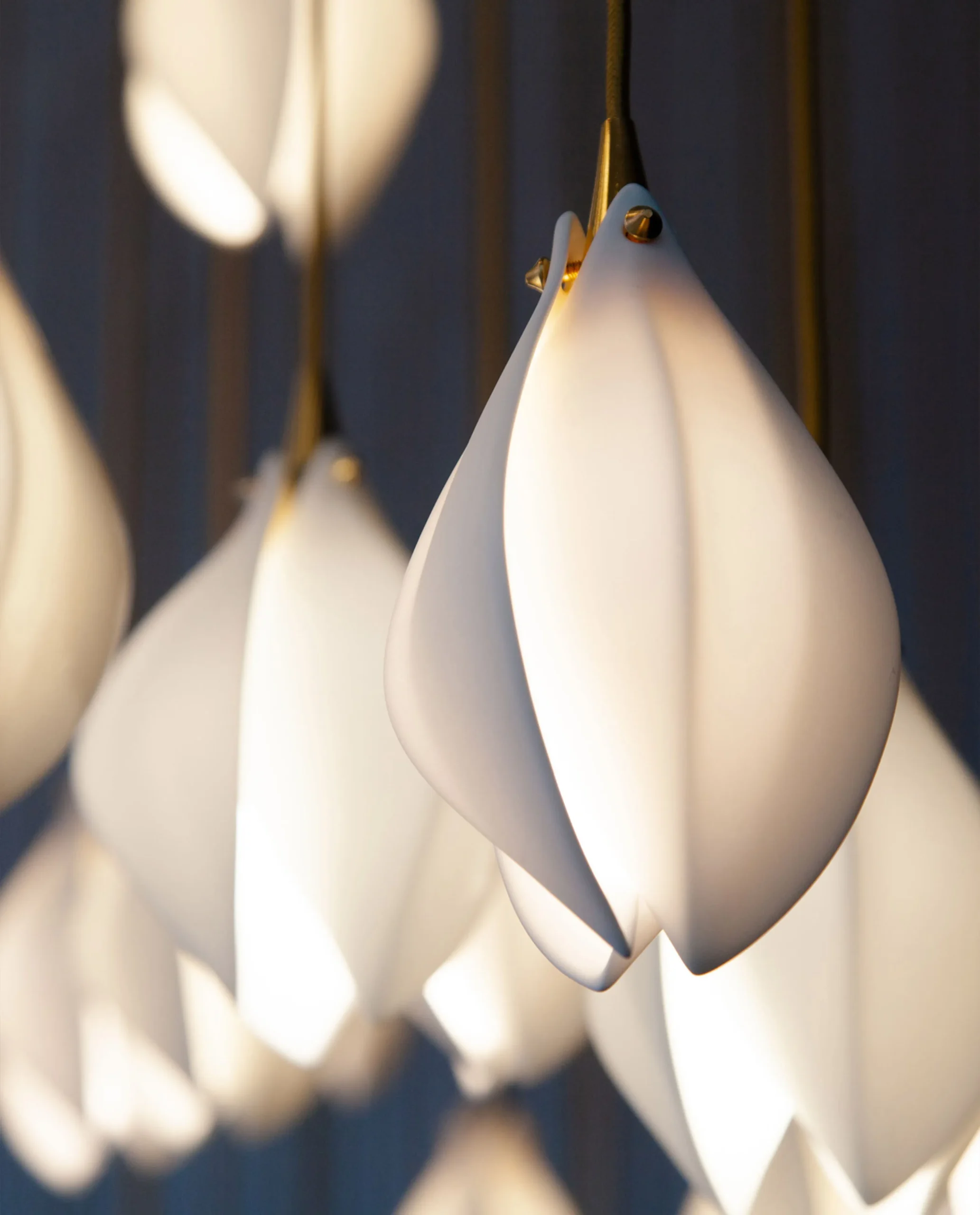 Fia chandelier handblown glass teardrop detail